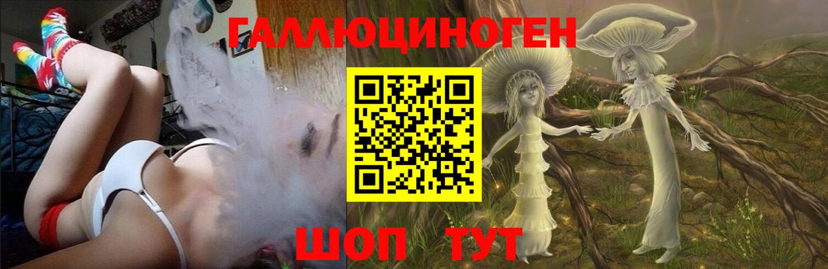 Галлюциногенные грибы Psilocybine cubensis Хасавюрт